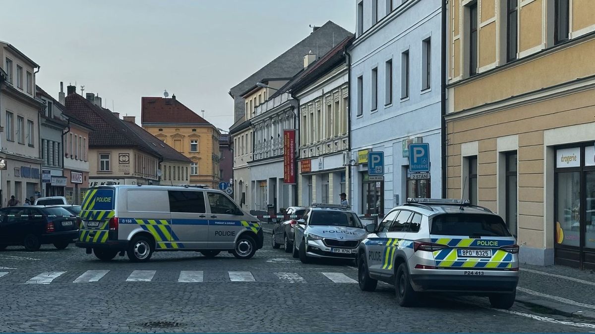 Jdu zabít. Popelář ze Sušice chtěl do vězení, na ulici začal bodat do kolemjdoucího